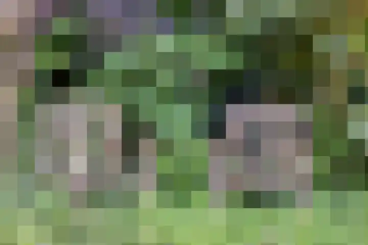 Emausweg 1 Rekken thumbnail 57