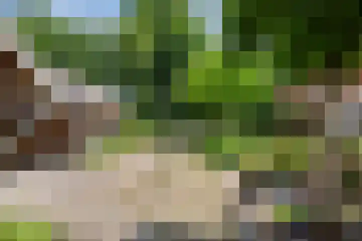 Emausweg 1 Rekken thumbnail 58