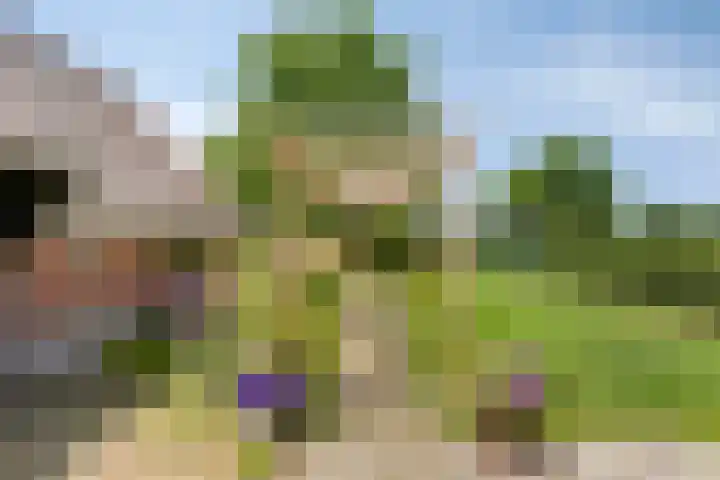 Emausweg 1 Rekken thumbnail 59