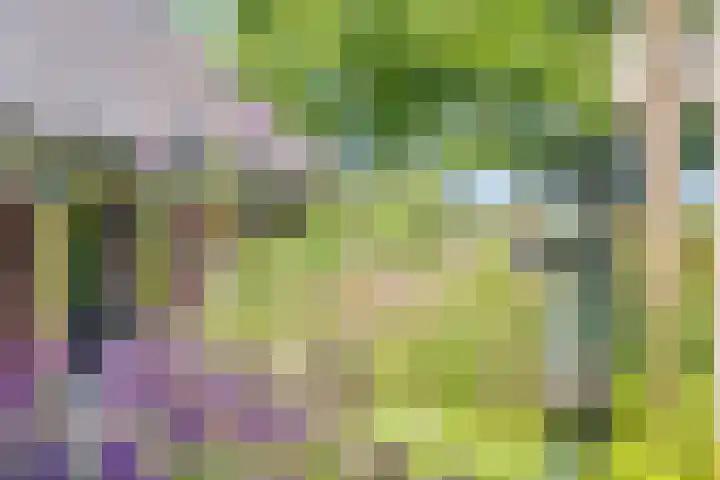 Emausweg 1 Rekken thumbnail 60