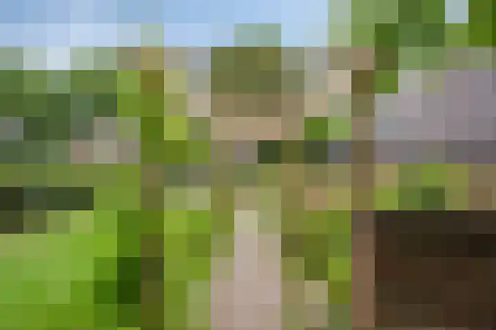 Emausweg 1 Rekken thumbnail 61