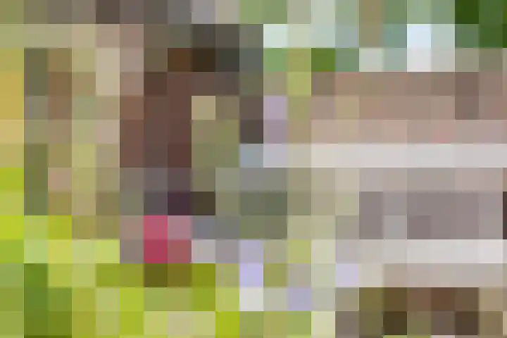 Emausweg 1 Rekken thumbnail 62