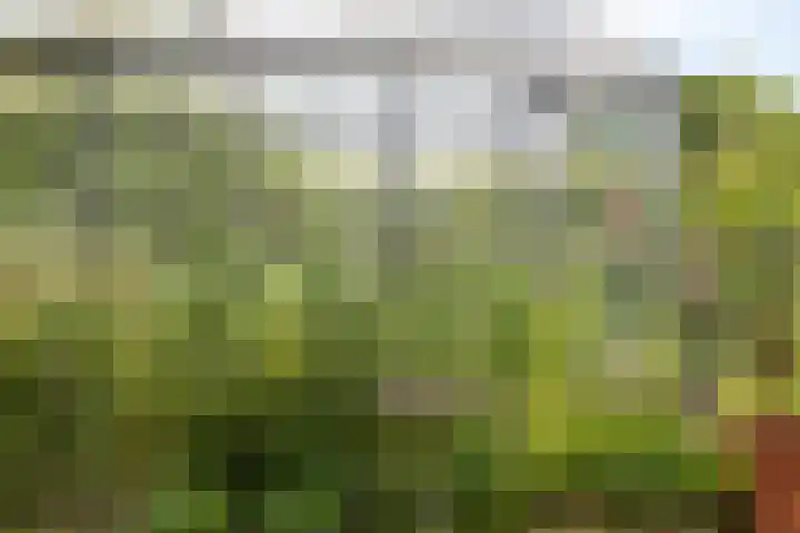 Emausweg 1 Rekken thumbnail 64