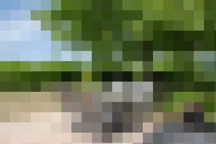 Emausweg 1 Rekken thumbnail 66