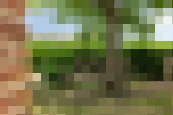 Emausweg 1 Rekken thumbnail 67