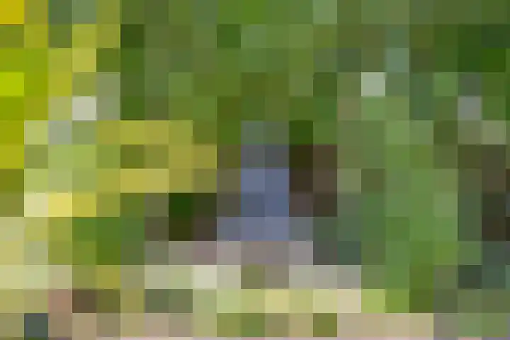 Emausweg 1 Rekken thumbnail 68