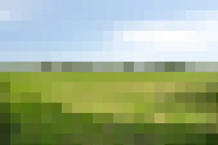 Emausweg 1 Rekken thumbnail 69