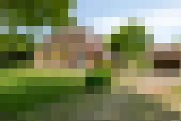 Emausweg 1 Rekken thumbnail 7