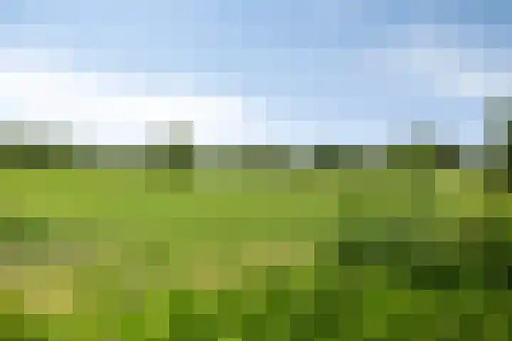 Emausweg 1 Rekken thumbnail 70