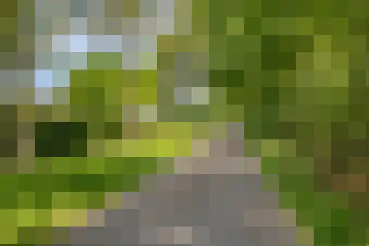 Emausweg 1 Rekken thumbnail 71