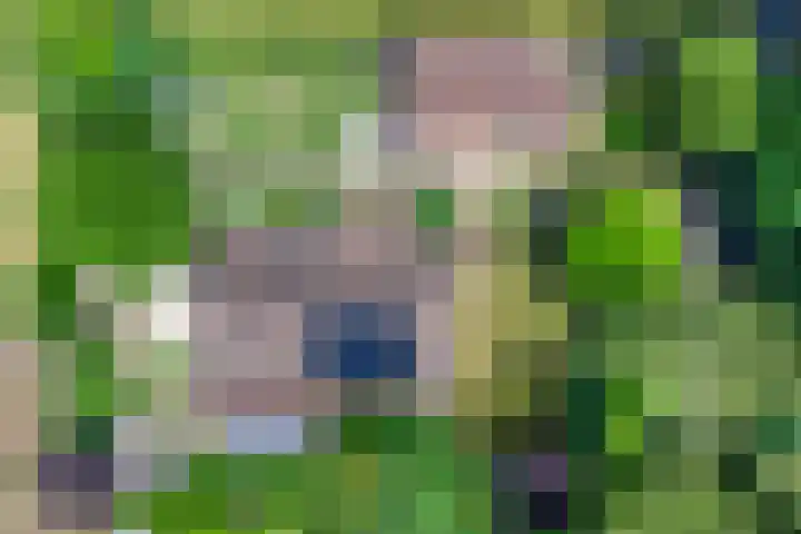 Emausweg 1 Rekken thumbnail 72