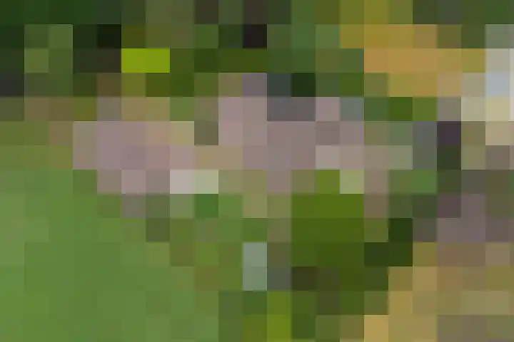 Emausweg 1 Rekken thumbnail 73