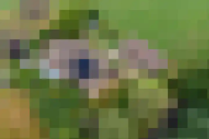 Emausweg 1 Rekken thumbnail 74