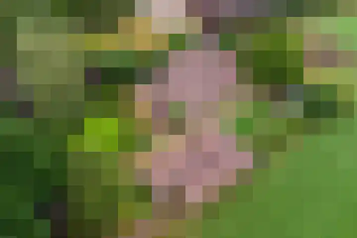 Emausweg 1 Rekken thumbnail 75
