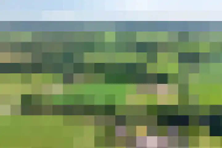 Emausweg 1 Rekken thumbnail 76