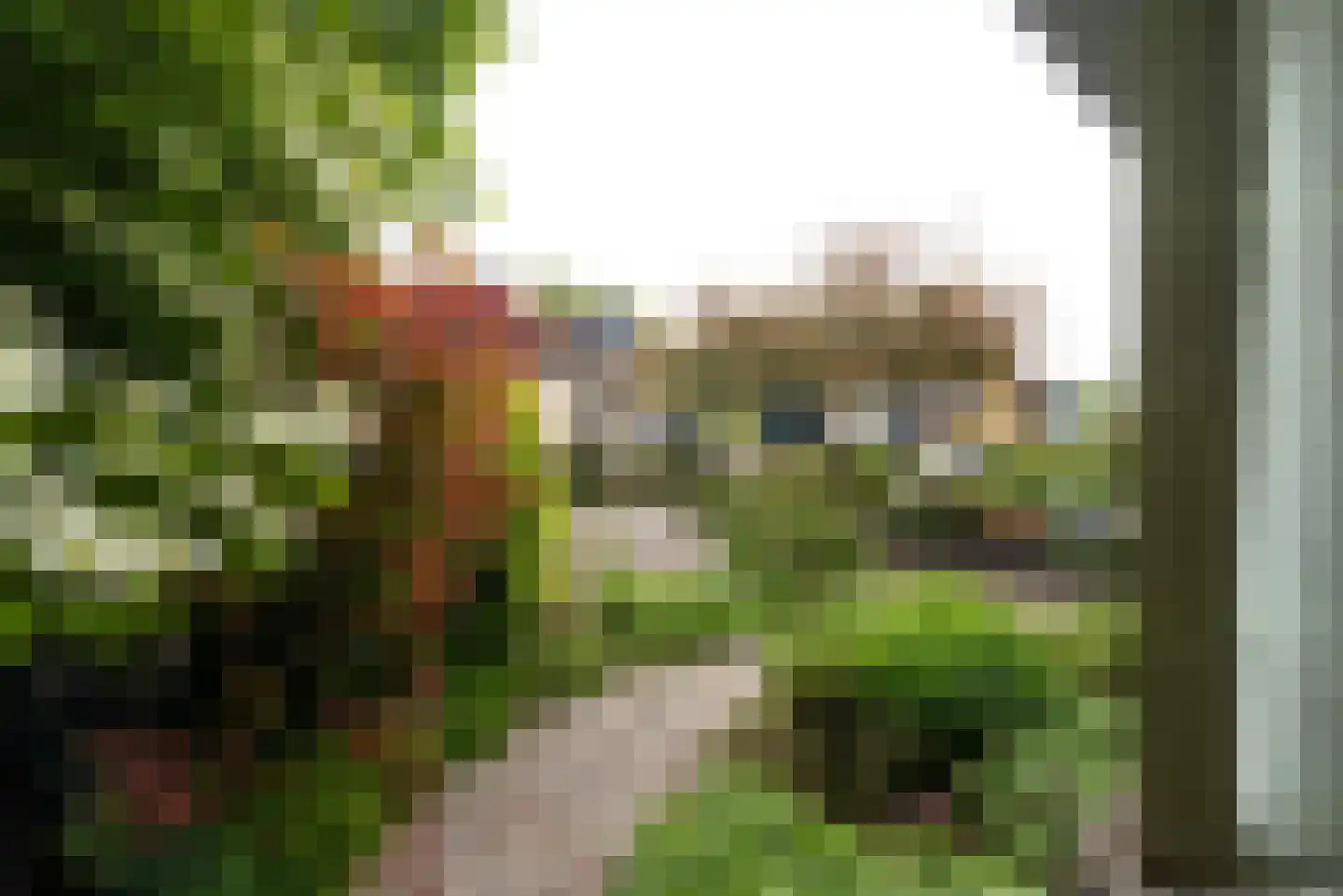 Emdaborg 3 Haren Gn thumbnail 13