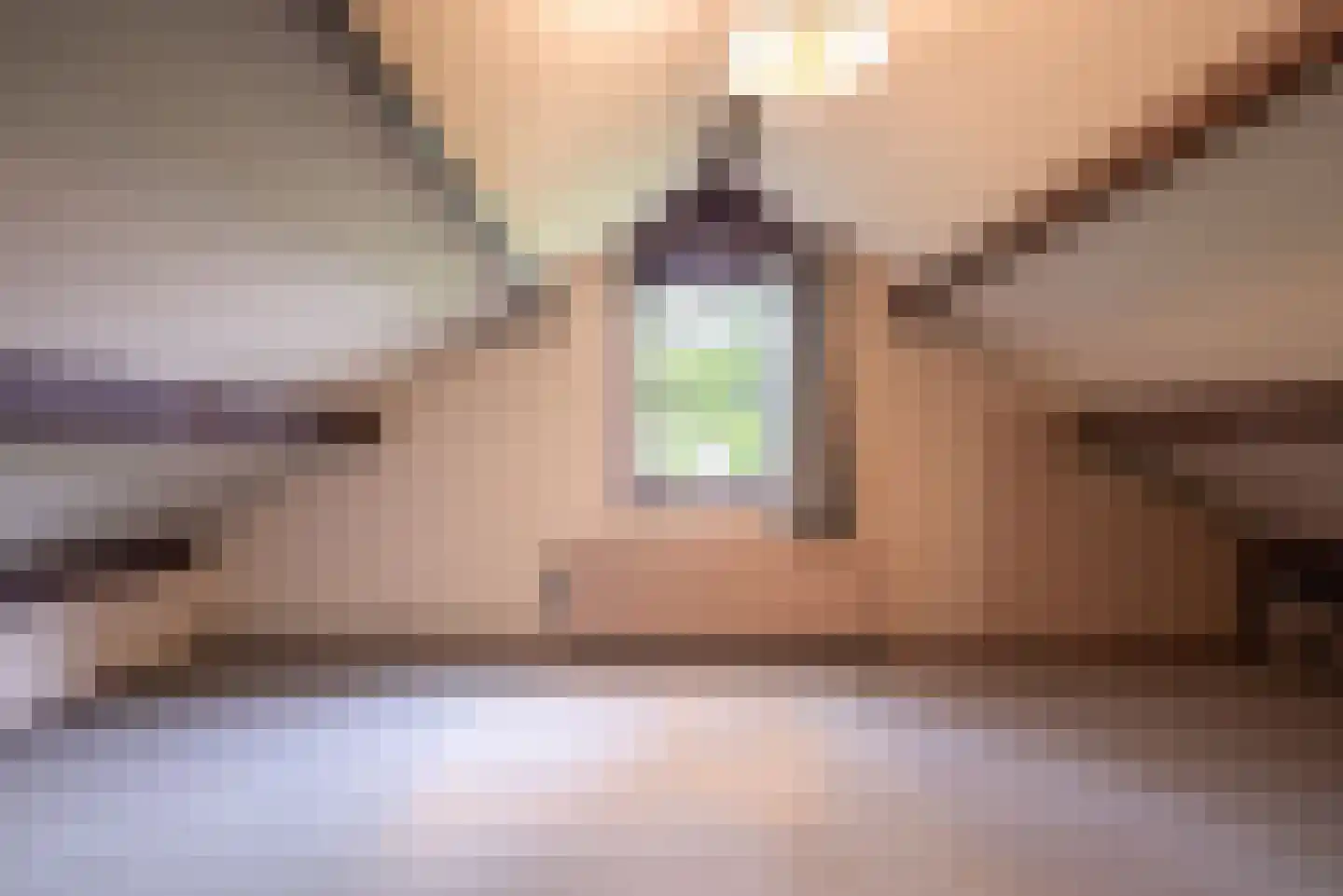 Emdaborg 3 Haren Gn thumbnail 36