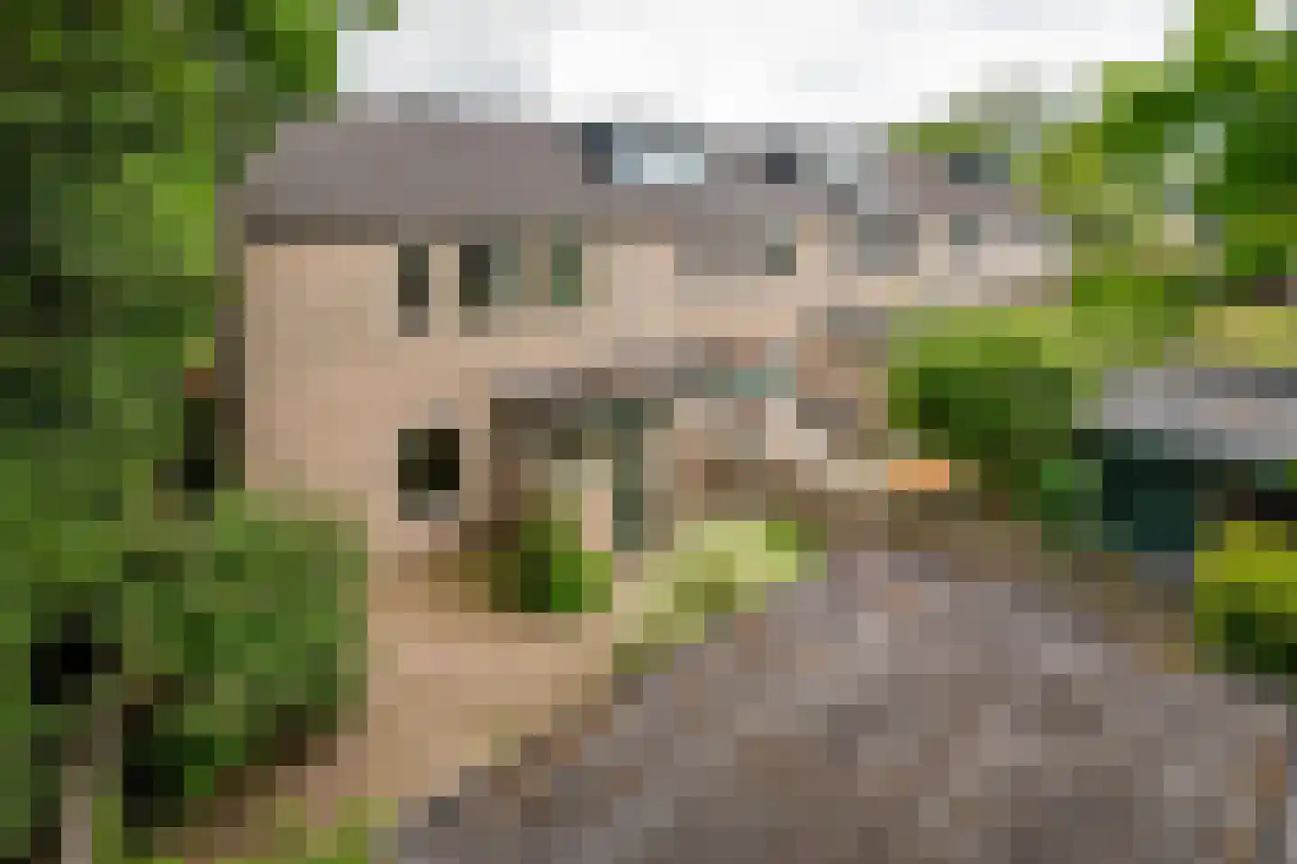 Emdaborg 3 Haren Gn thumbnail 39