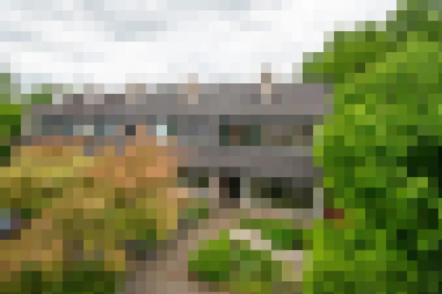 Emdaborg 3 Haren Gn thumbnail 42