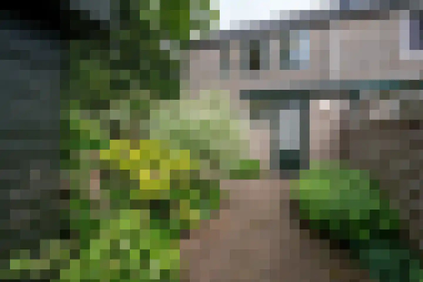 Emdaborg 3 Haren Gn thumbnail 43