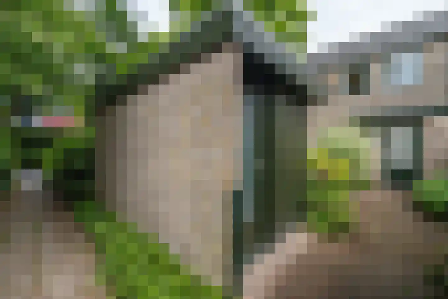 Emdaborg 3 Haren Gn thumbnail 44