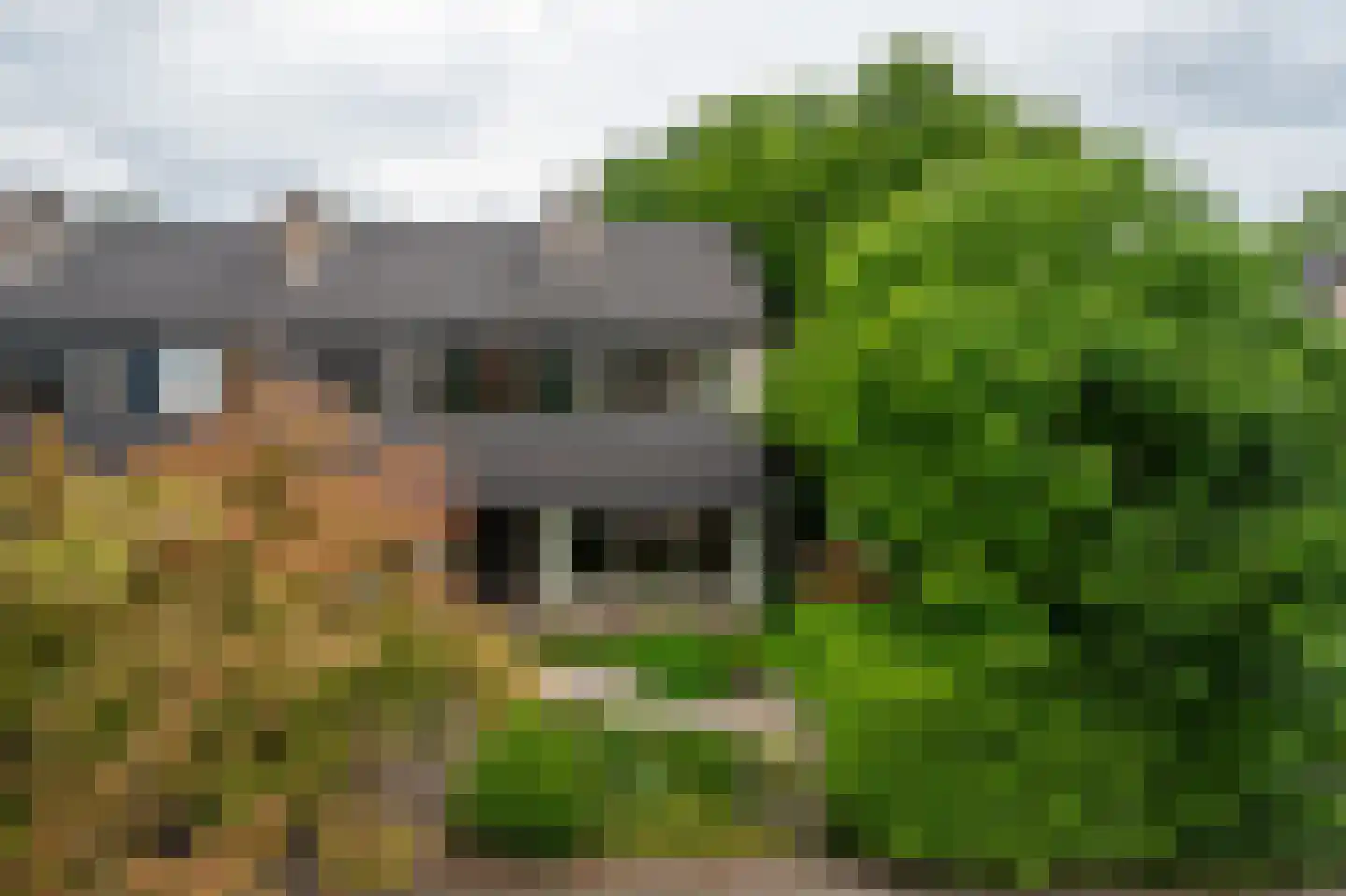 Emdaborg 3 Haren Gn thumbnail 7