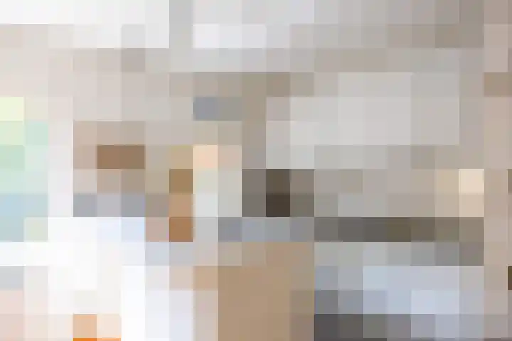 Emdaborg 5 Haren Gn thumbnail 18