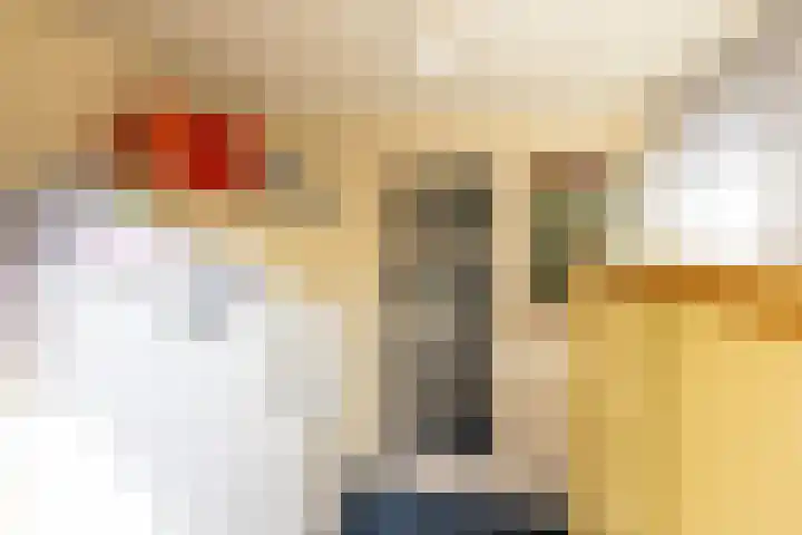 Emdaborg 5 Haren Gn thumbnail 22