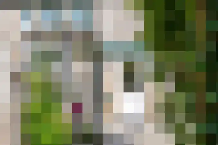 Emdaborg 5 Haren Gn thumbnail 23