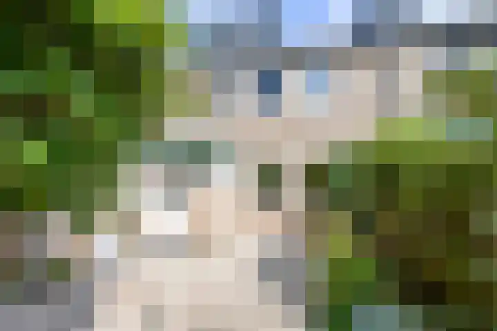 Emdaborg 5 Haren Gn thumbnail 25