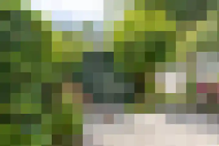 Emdaborg 5 Haren Gn thumbnail 26