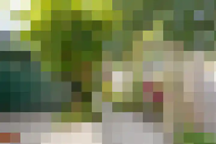 Emdaborg 5 Haren Gn thumbnail 27