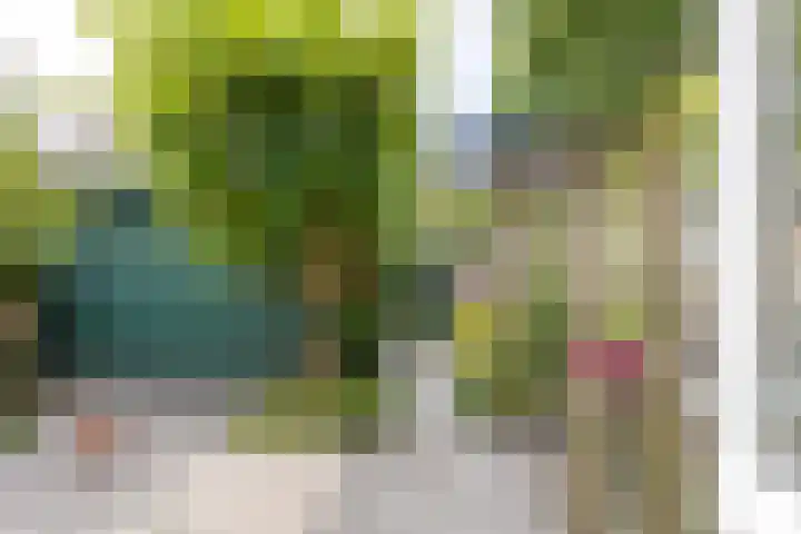 Emdaborg 5 Haren Gn thumbnail 28