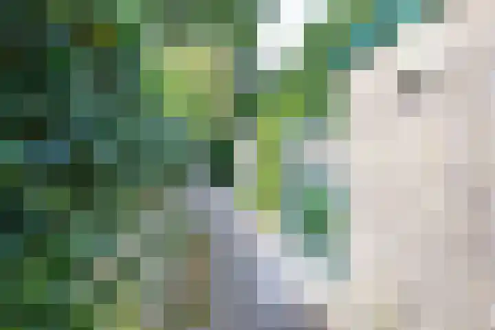Emdaborg 5 Haren Gn thumbnail 30
