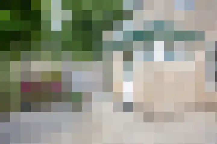 Emdaborg 5 Haren Gn thumbnail 31
