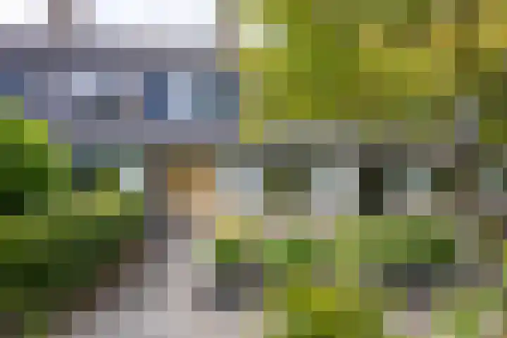 Emdaborg 5 Haren Gn thumbnail 4