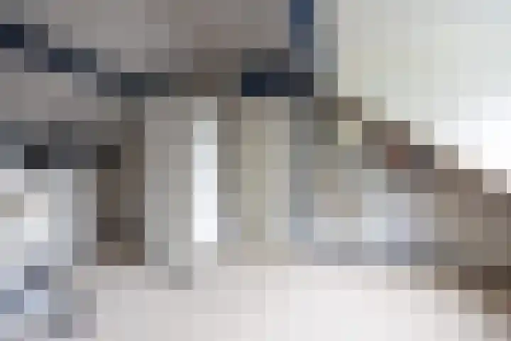 Emdaborg 5 Haren Gn thumbnail 45