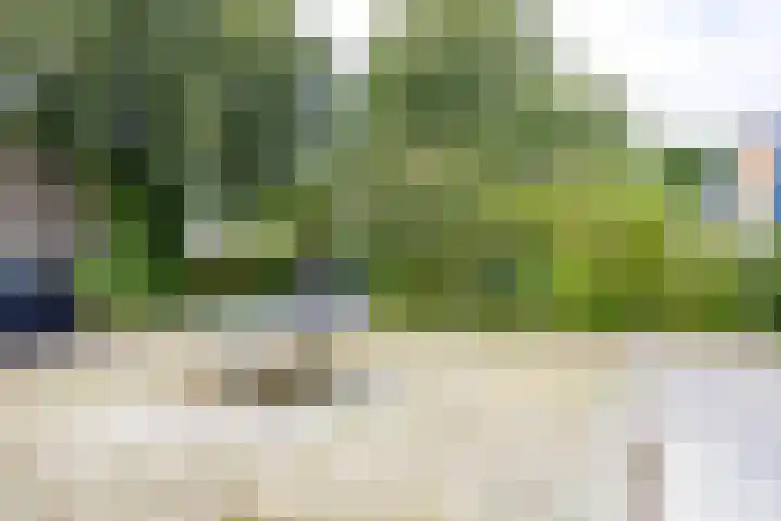 Emdaborg 5 Haren Gn thumbnail 46