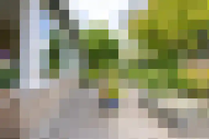 Emdaborg 5 Haren Gn thumbnail 7