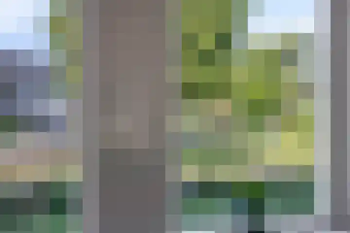 Emdenmeen 54 Harderwijk thumbnail 20