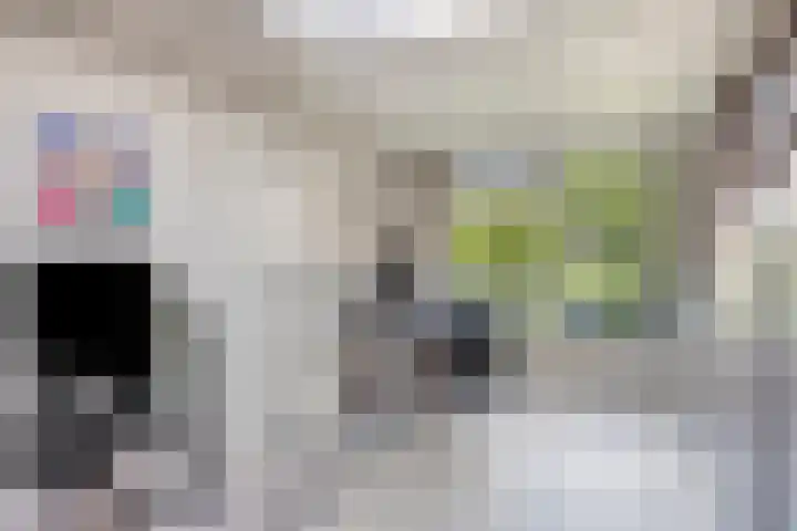 Emdenmeen 54 Harderwijk thumbnail 31