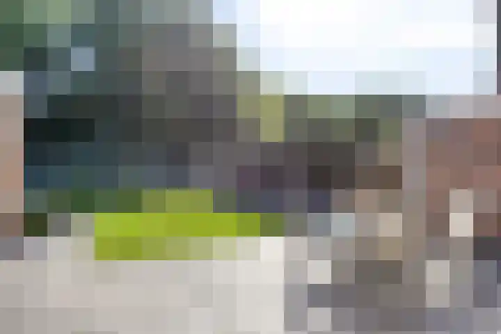 Emdenmeen 54 Harderwijk thumbnail 33