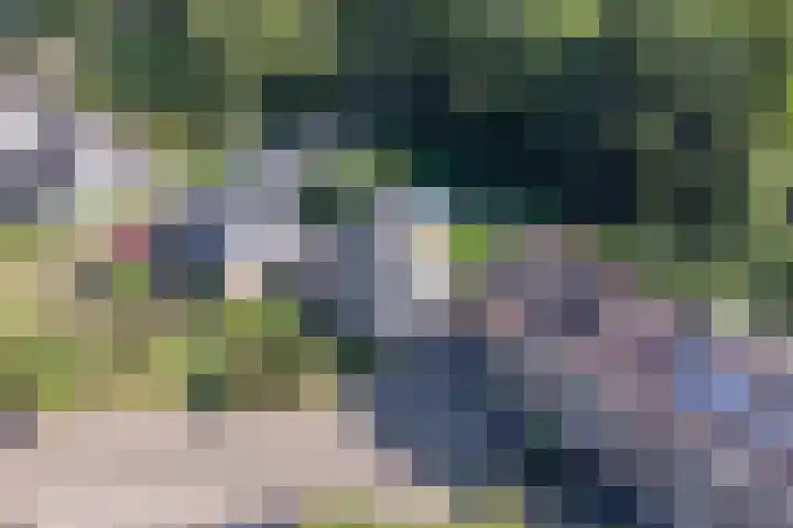 Emdenmeen 54 Harderwijk thumbnail 39