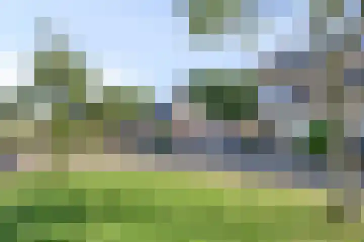 Emdenmeen 54 Harderwijk thumbnail 4