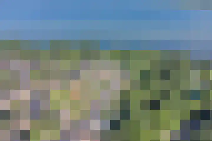 Emdenmeen 54 Harderwijk thumbnail 41
