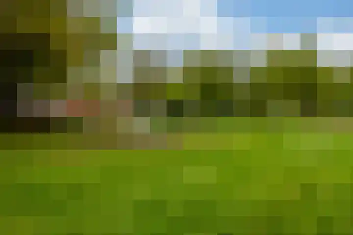 Emdenmeen 54 Harderwijk thumbnail 45