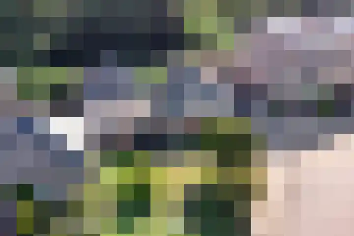 Emdenmeen 54 Harderwijk thumbnail 5