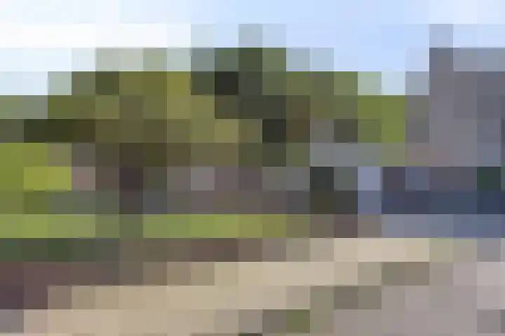 Emdenmeen 54 Harderwijk thumbnail 6