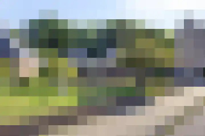 Emdenmeen 54 Harderwijk thumbnail 7
