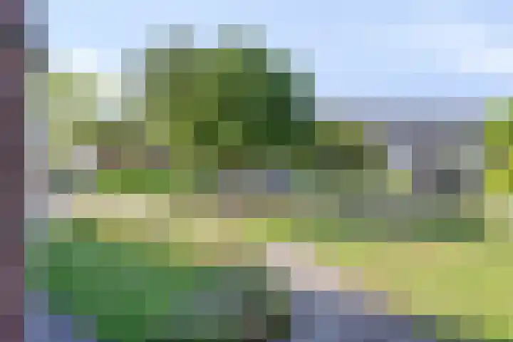 Emdenmeen 54 Harderwijk thumbnail 8